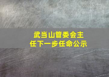 武当山管委会主任下一步任命公示