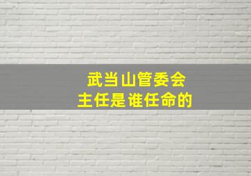 武当山管委会主任是谁任命的