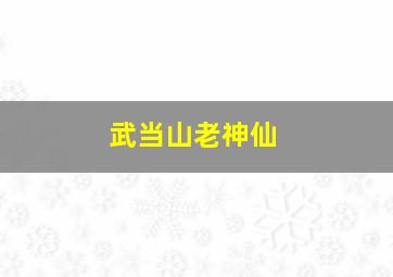 武当山老神仙