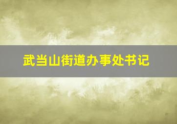 武当山街道办事处书记