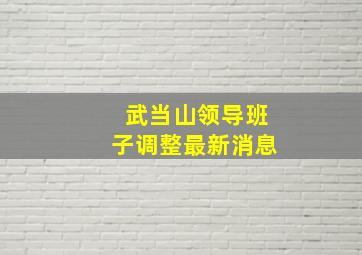 武当山领导班子调整最新消息