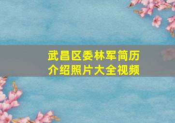 武昌区委林军简历介绍照片大全视频