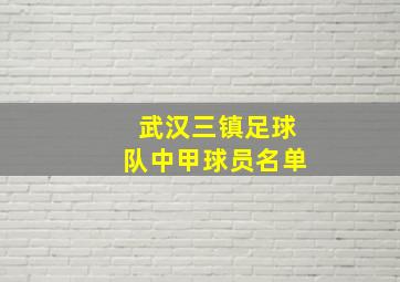 武汉三镇足球队中甲球员名单