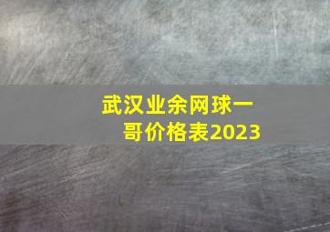 武汉业余网球一哥价格表2023