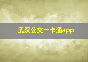 武汉公交一卡通app