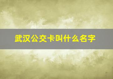 武汉公交卡叫什么名字