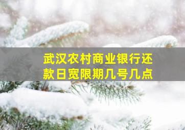 武汉农村商业银行还款日宽限期几号几点