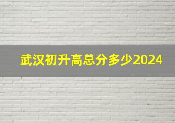 武汉初升高总分多少2024