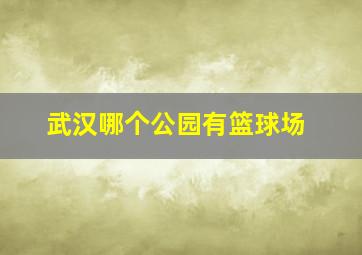 武汉哪个公园有篮球场