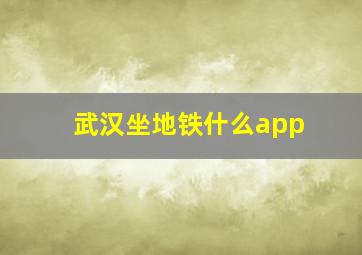 武汉坐地铁什么app