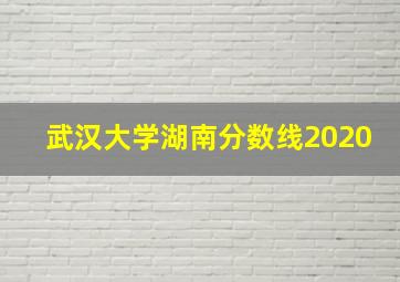 武汉大学湖南分数线2020