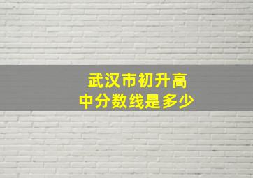 武汉市初升高中分数线是多少