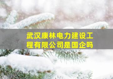 武汉康林电力建设工程有限公司是国企吗