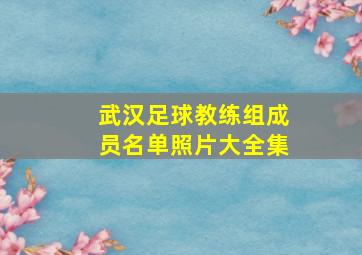 武汉足球教练组成员名单照片大全集