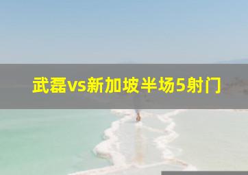 武磊vs新加坡半场5射门