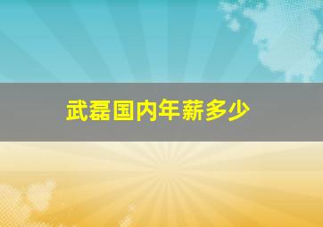 武磊国内年薪多少