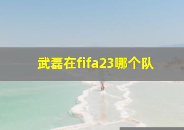 武磊在fifa23哪个队