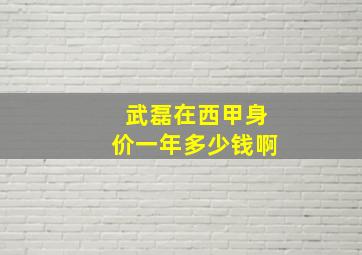 武磊在西甲身价一年多少钱啊