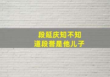 段延庆知不知道段誉是他儿子