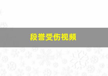 段誉受伤视频