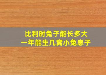 比利时兔子能长多大一年能生几窝小兔崽子