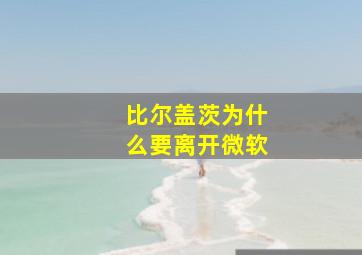 比尔盖茨为什么要离开微软