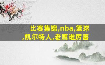 比赛集锦,nba,篮球,凯尔特人,老鹰谁厉害