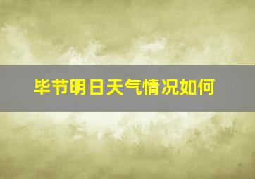 毕节明日天气情况如何