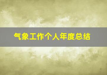 气象工作个人年度总结