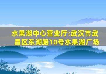 水果湖中心营业厅:武汉市武昌区东湖路10号水果湖广场