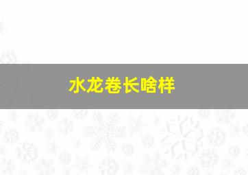 水龙卷长啥样