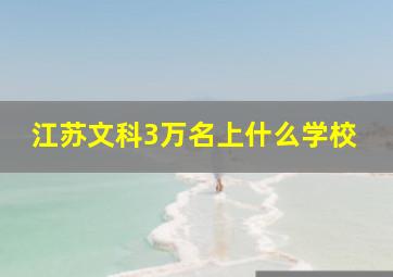 江苏文科3万名上什么学校