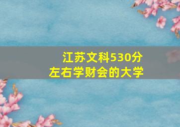 江苏文科530分左右学财会的大学