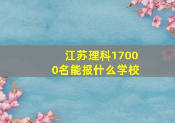 江苏理科17000名能报什么学校