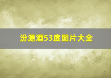 汾源酒53度图片大全