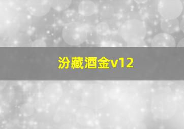 汾藏酒金v12