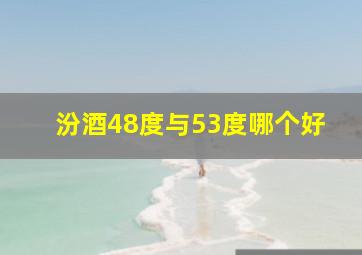 汾酒48度与53度哪个好