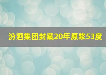 汾酒集团封藏20年原浆53度