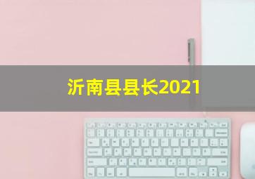 沂南县县长2021