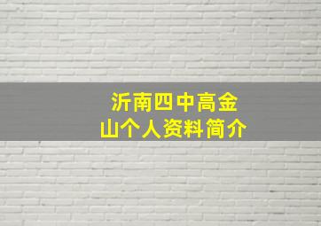 沂南四中高金山个人资料简介