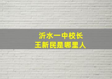 沂水一中校长王新民是哪里人