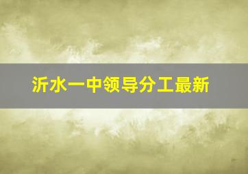 沂水一中领导分工最新