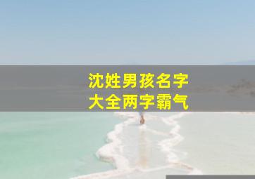 沈姓男孩名字大全两字霸气