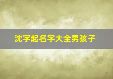 沈字起名字大全男孩子