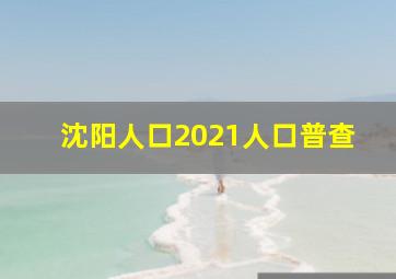 沈阳人口2021人口普查