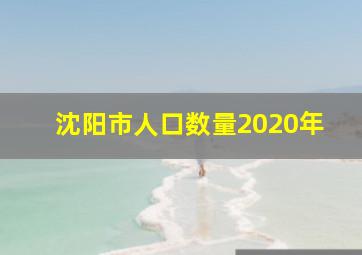 沈阳市人口数量2020年