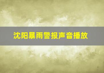 沈阳暴雨警报声音播放