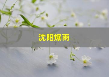 沈阳爆雨