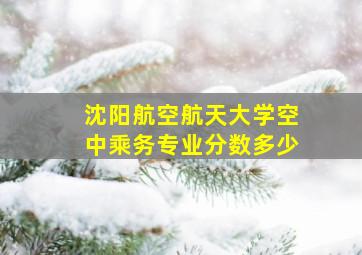 沈阳航空航天大学空中乘务专业分数多少