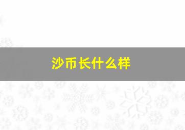 沙币长什么样